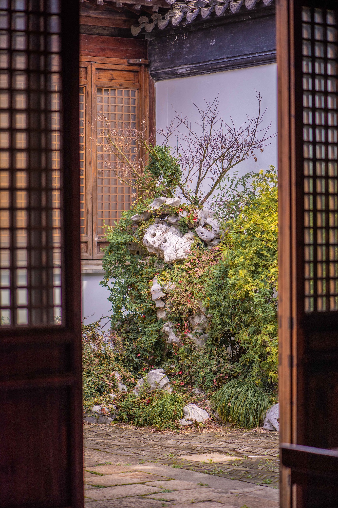 风景图片