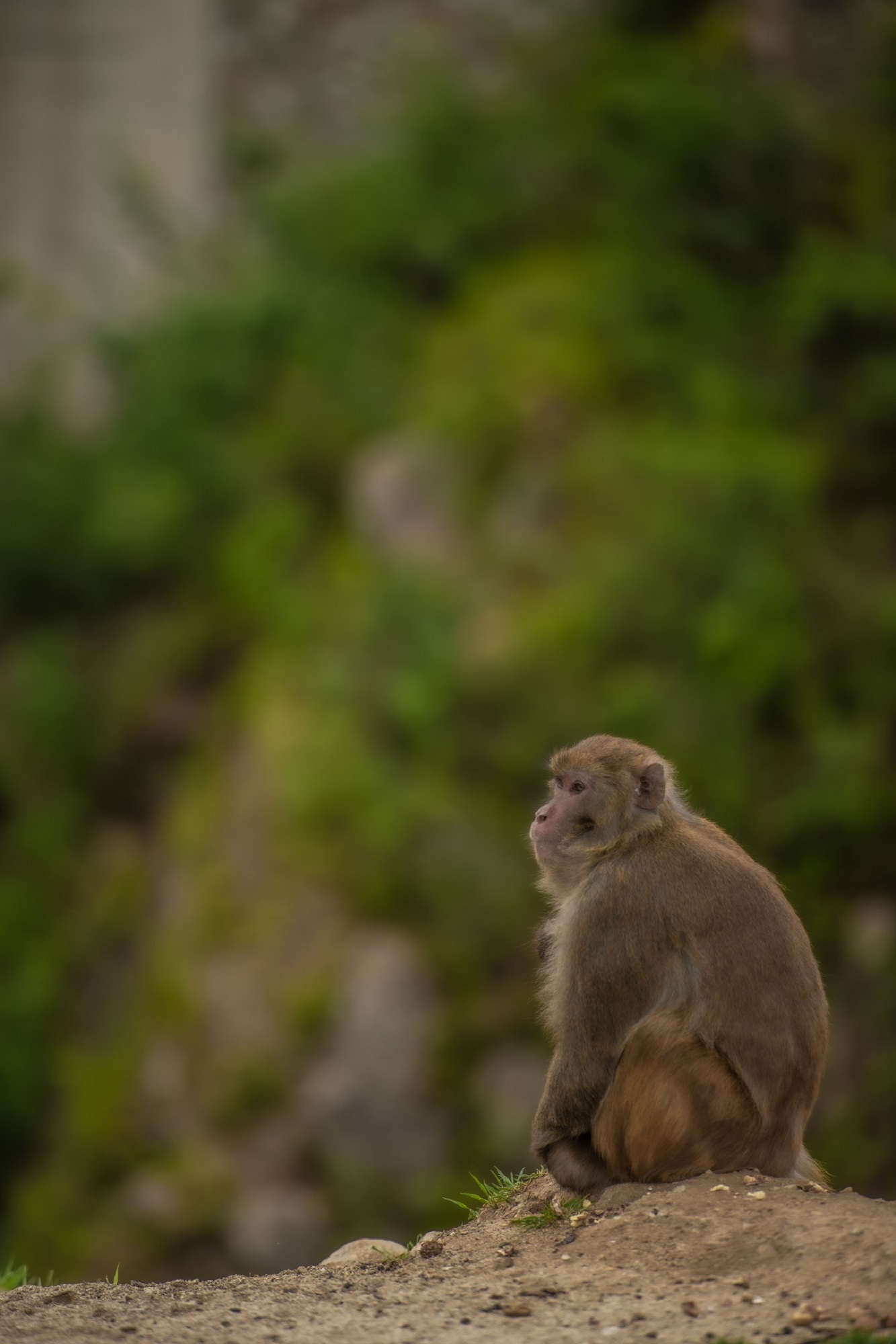 风景图片