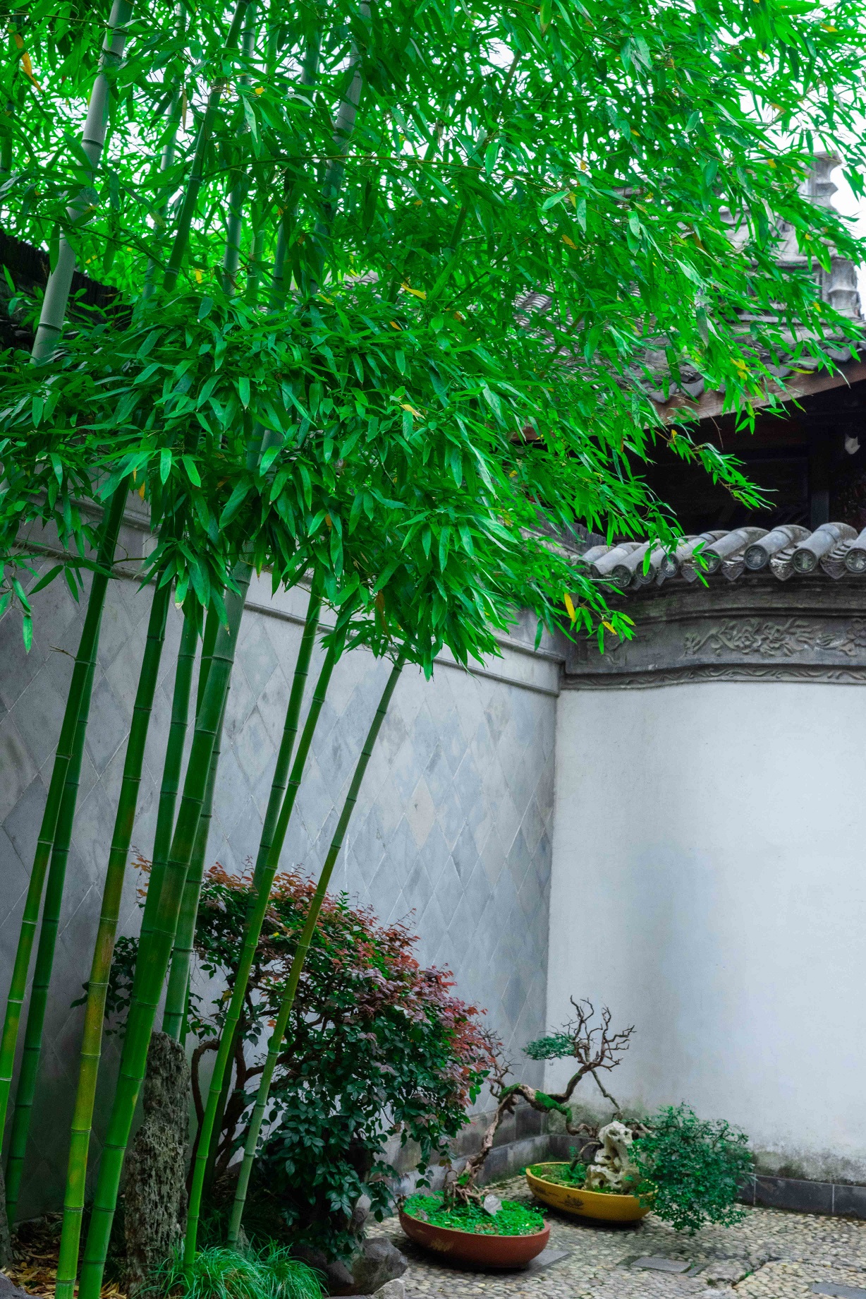 风景图片